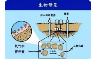 有机污染场地生物修复技术挑战与展望