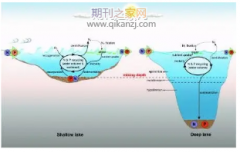 高磷沉积物有机磷形态分布及释放动力学特征研究