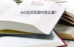 ssci论文在国内怎么查