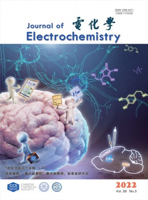 电化学杂志